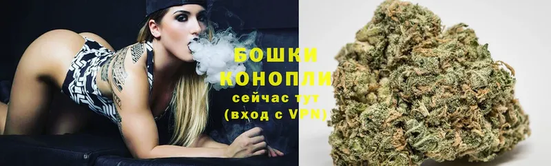 Бошки Шишки White Widow  мориарти официальный сайт  omg ССЫЛКА  Павлово  цены  